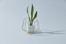 Load image into Gallery viewer, BENITO Basket
