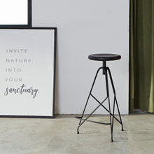Load image into Gallery viewer, camino X MASSIMO | Highland Bar Stool