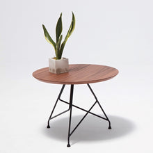 Load image into Gallery viewer, camino X MASSIMO | Euphony Coffee Table